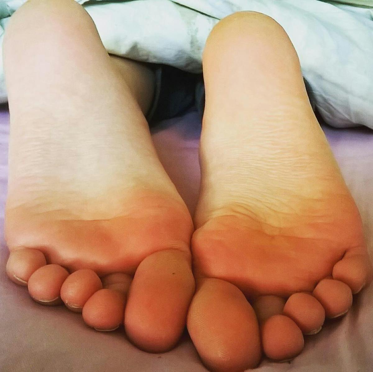 Campaign Execution Process